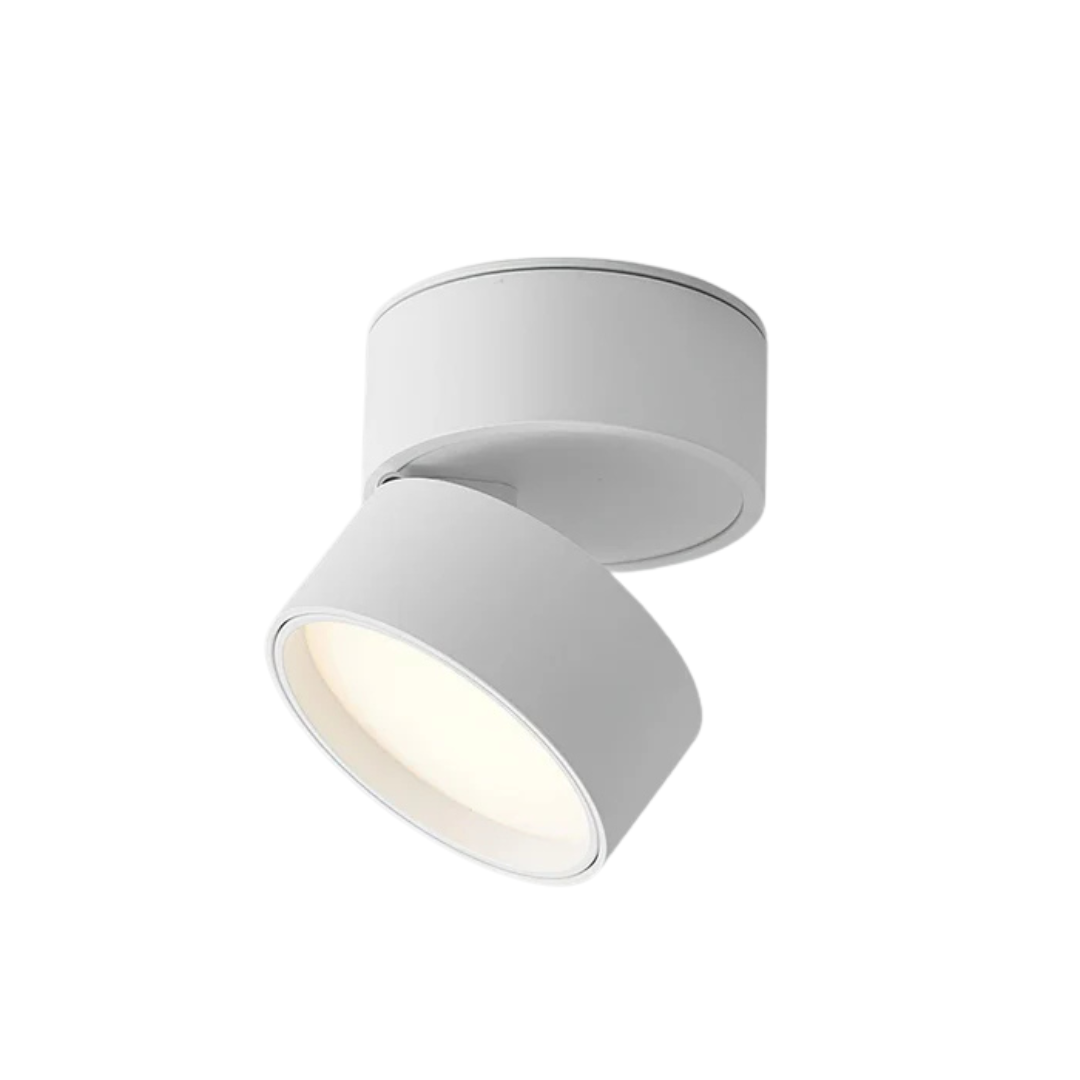 Luminexis - Plafonnier LED réglable 1 lumière