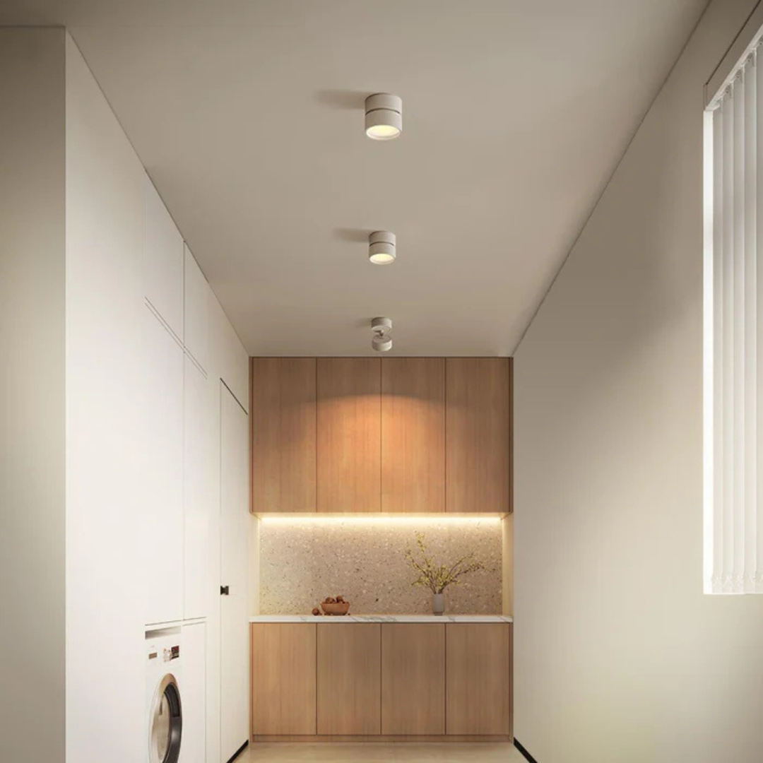 Luminexis - Plafonnier LED réglable 1 lumière