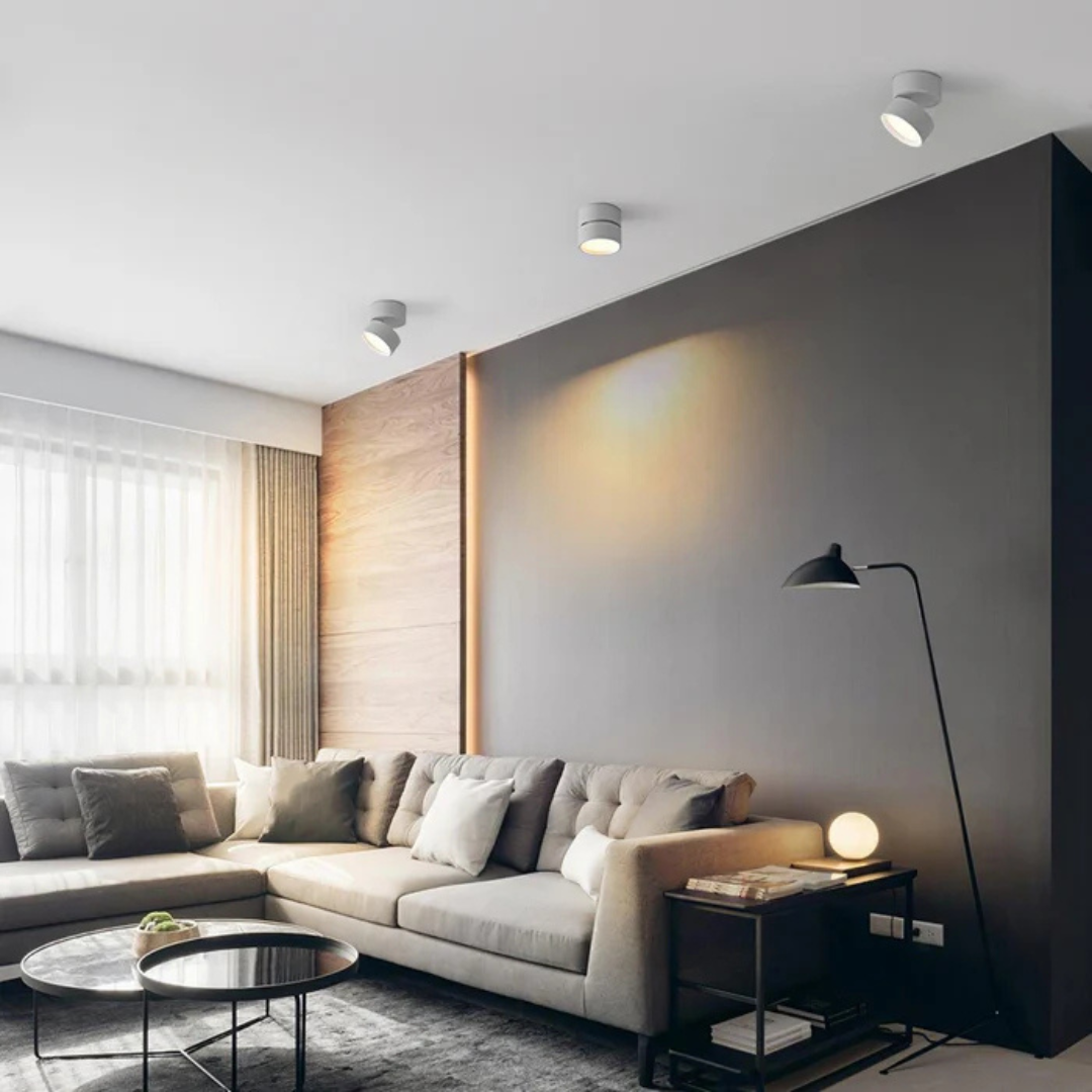 Luminexis - Plafonnier LED réglable 1 lumière