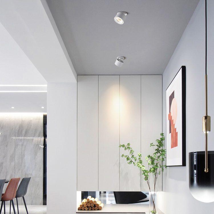 Cylinder Recessed LED Ceiling Lamp Adjustable - Image 9