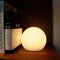Cordless LED Globe Table Lamp with Remote