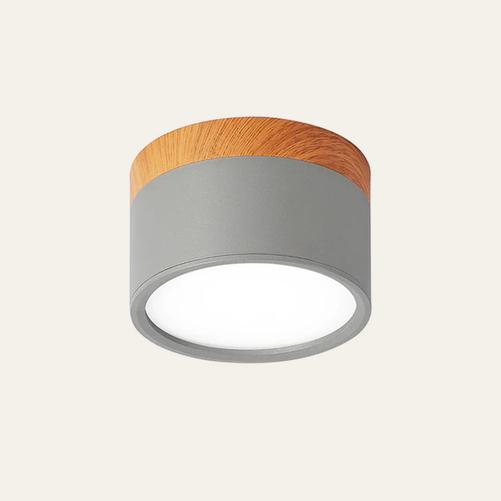Braylix - Luminaire plafond LED encastré compact