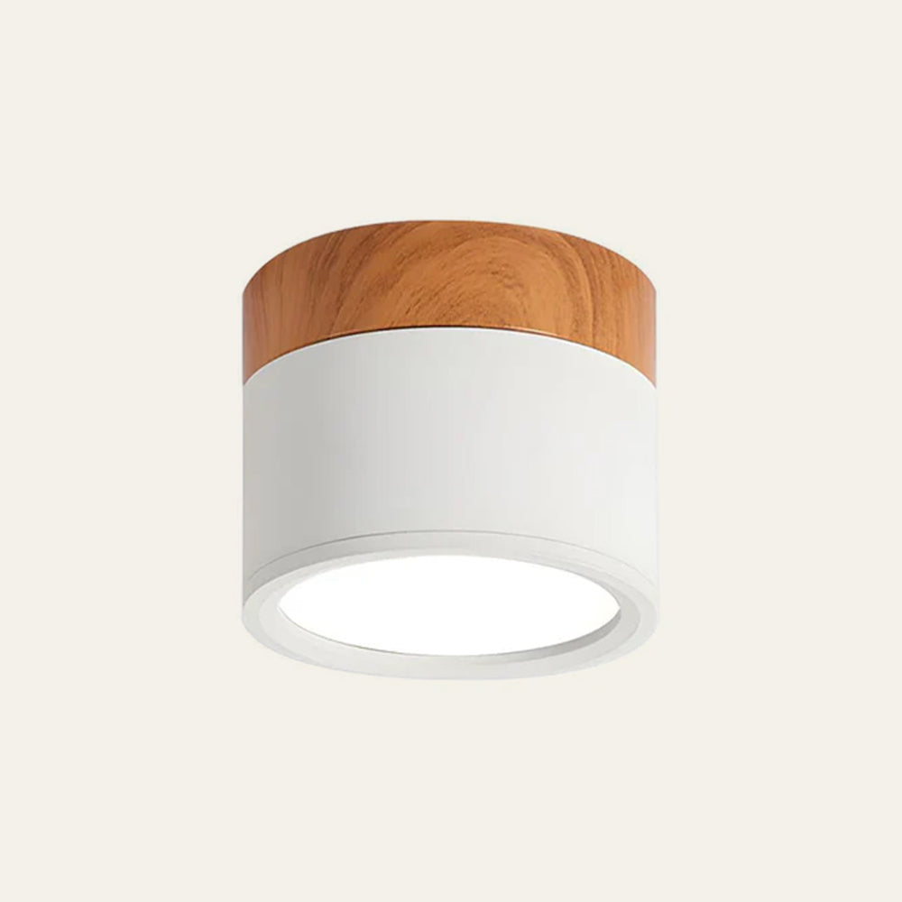 Braylix - Luminaire plafond LED encastré compact