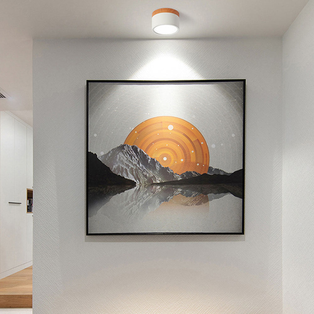 Braylix - Luminaire plafond LED encastré compact