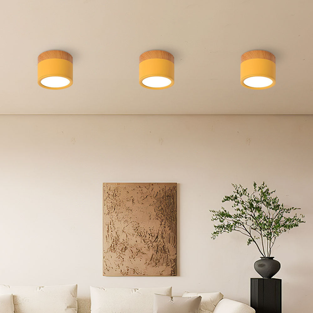 Braylix - Luminaire plafond LED encastré compact