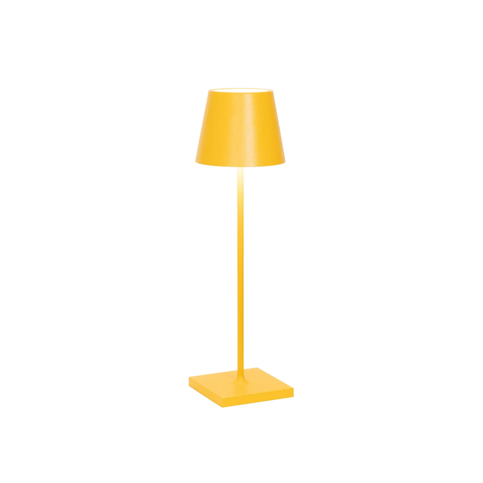 Temon - Lampe de table LED rechargeable avec variateur