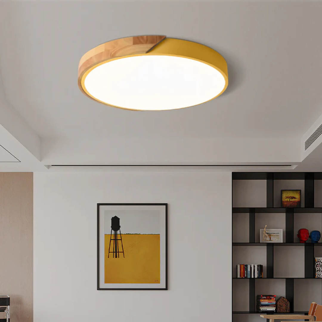 Luned – Lampada da soffitto LED moderna rotonda a montaggio superficiale