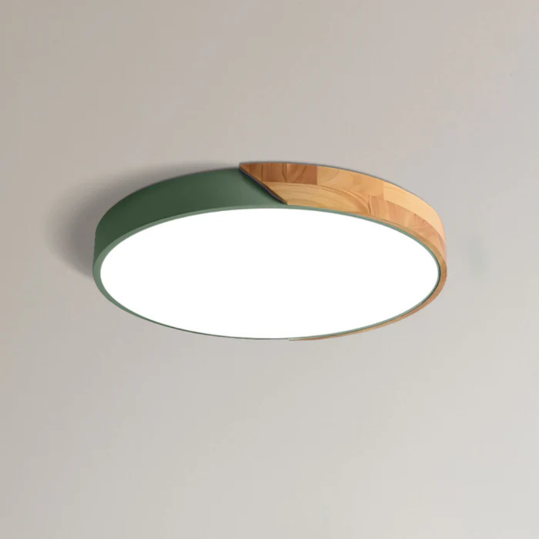 Luned – Lampada da soffitto LED moderna rotonda a montaggio superficiale