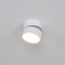 Cerix – Faretto da soffitto LED interno orientabile