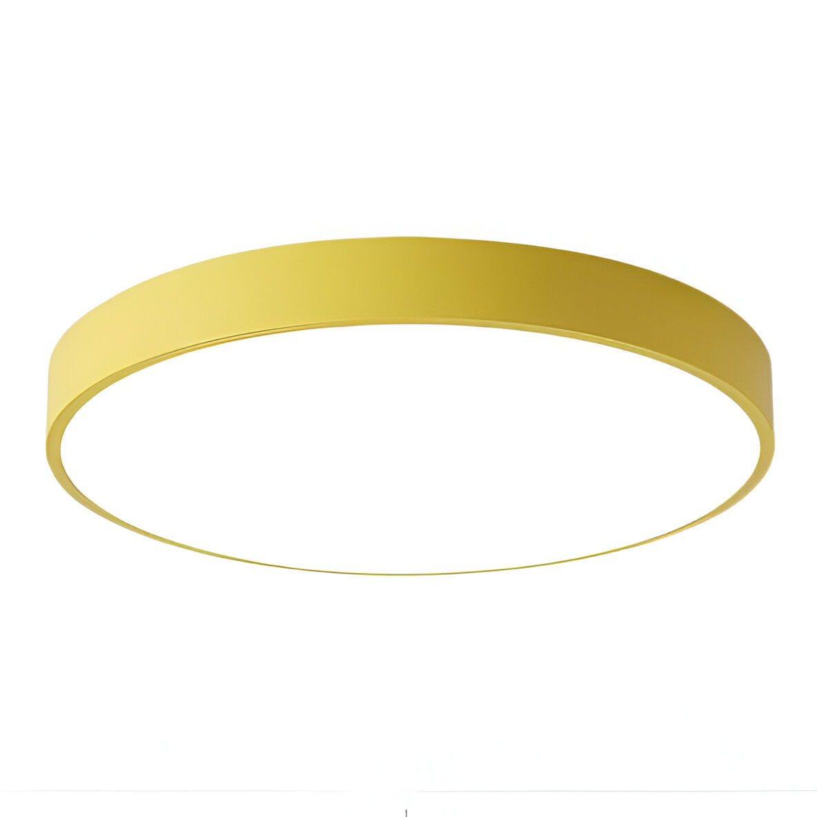 Denrad – Lampada da soffitto LED moderna con paralume in acrilico