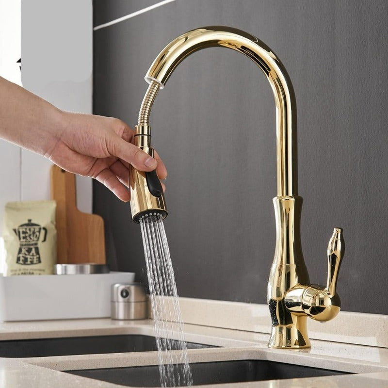 Aquastra - Robinet de cuisine bec flexible extractible