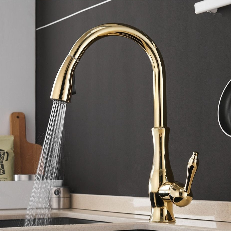 Aquastra - Robinet de cuisine bec flexible extractible