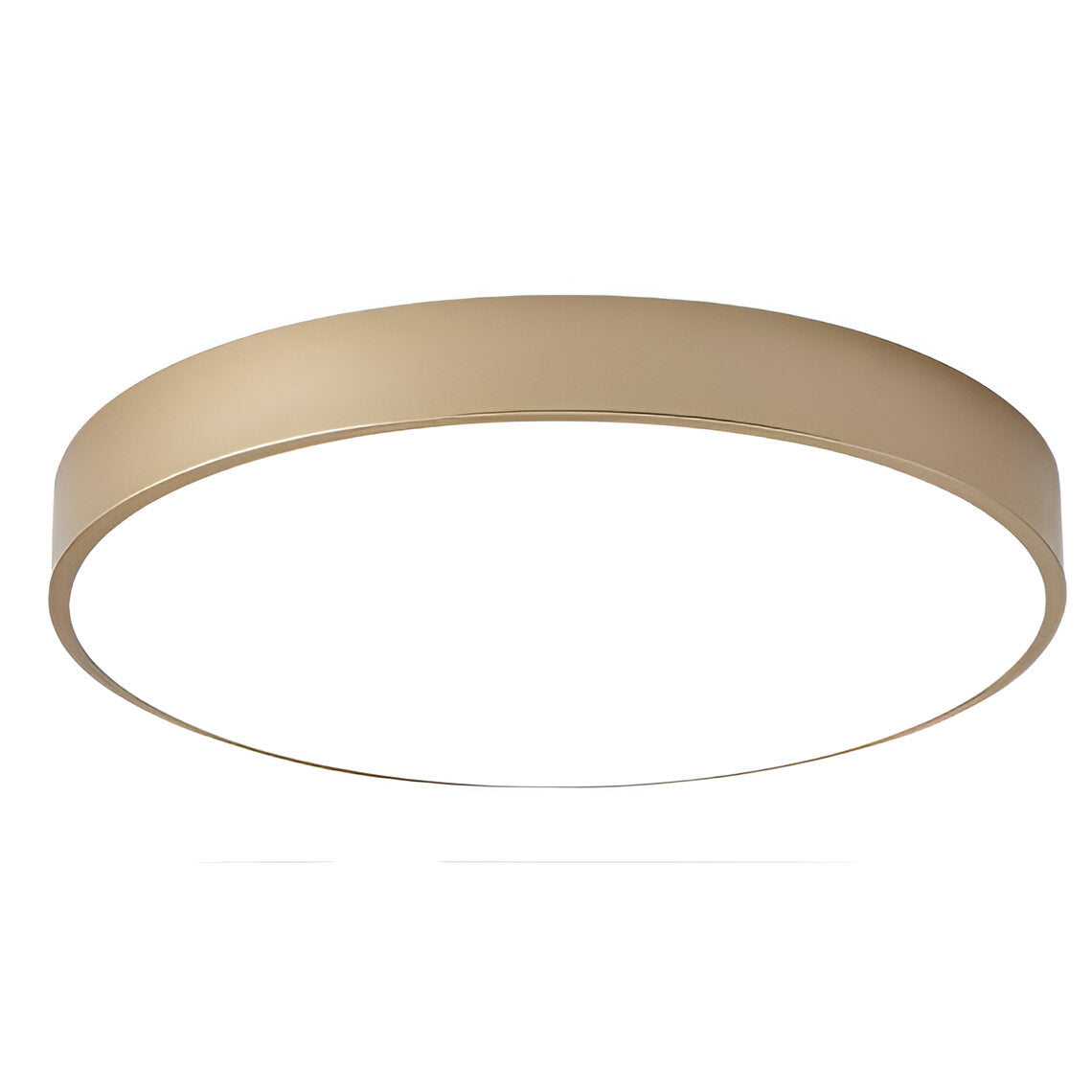 Denrad – Lampada da soffitto LED moderna con paralume in acrilico