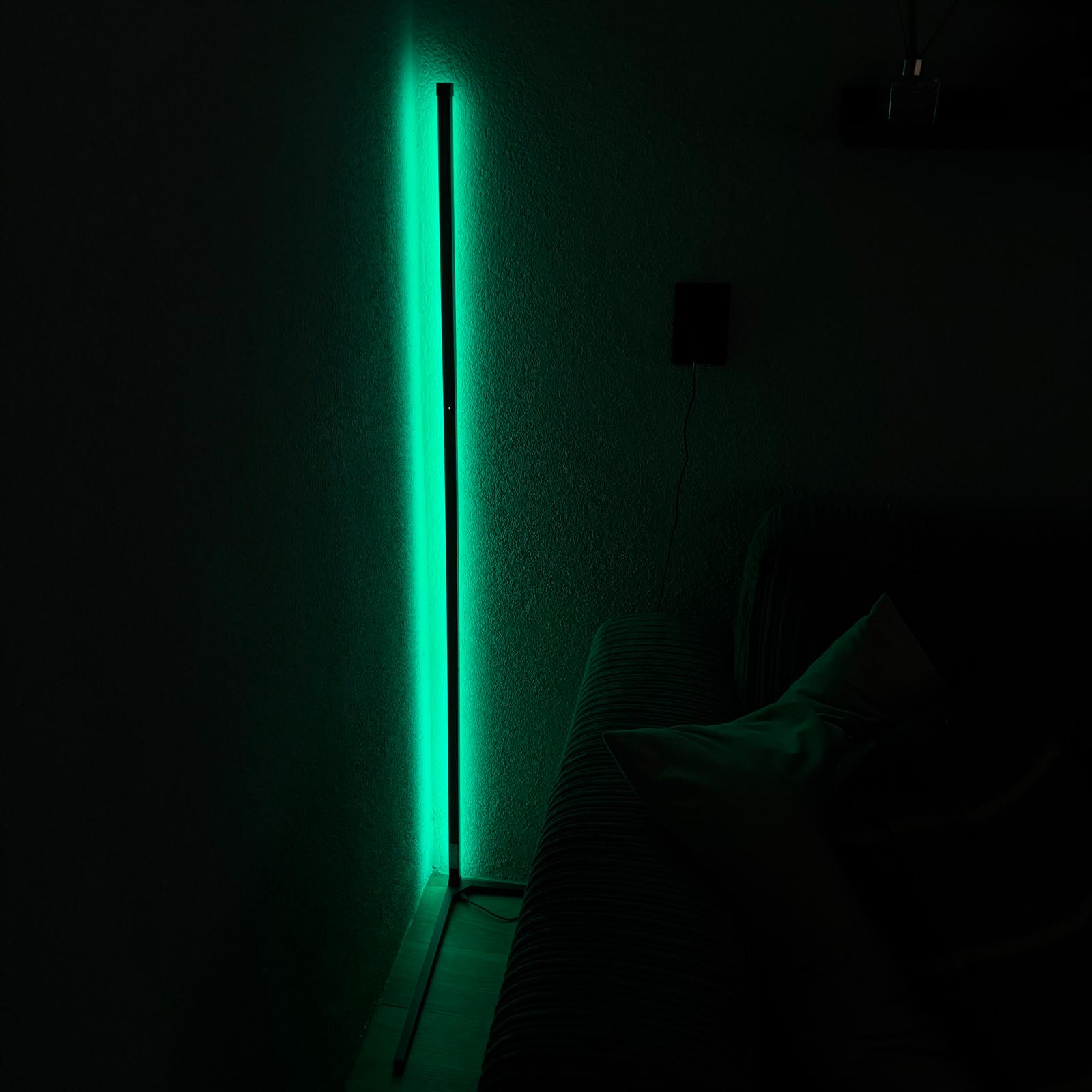 Varax – Lampada da terra LED