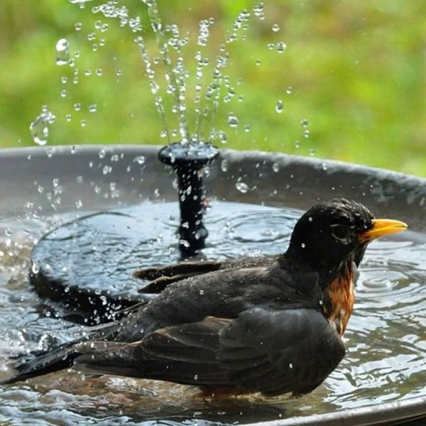Floating Solar Fountain Pump Garden Water Feature - Image 5