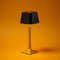 Vireonn - Lampe de table intérieure classique longue et étanche