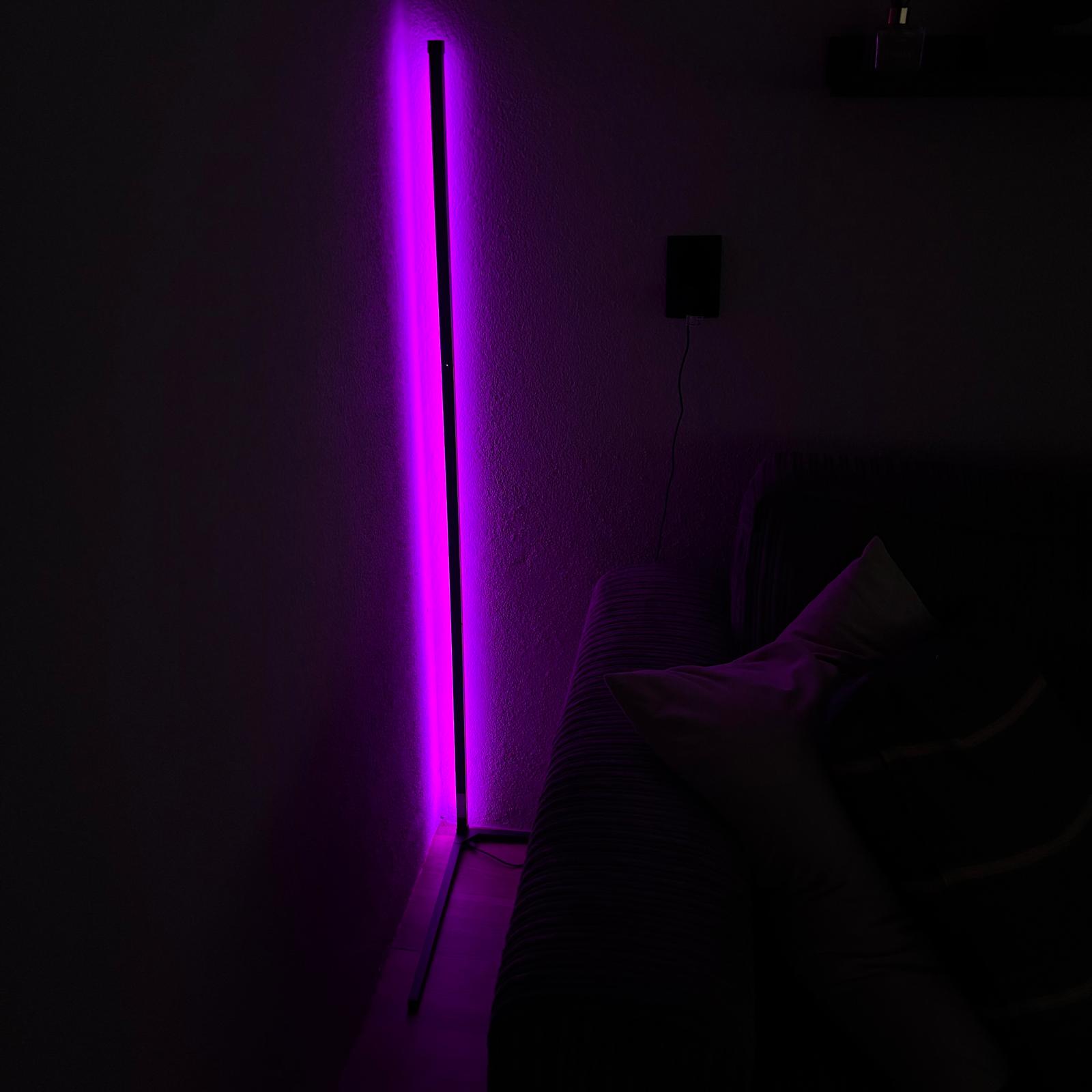 Varax – Lampada da terra LED