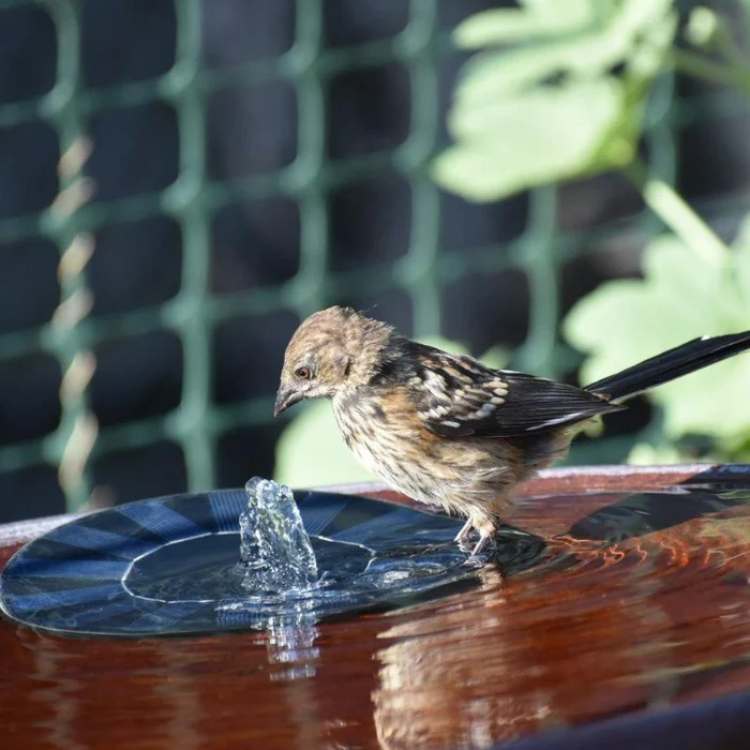Floating Solar Fountain Pump Garden Pond Bird Bath - Image 3